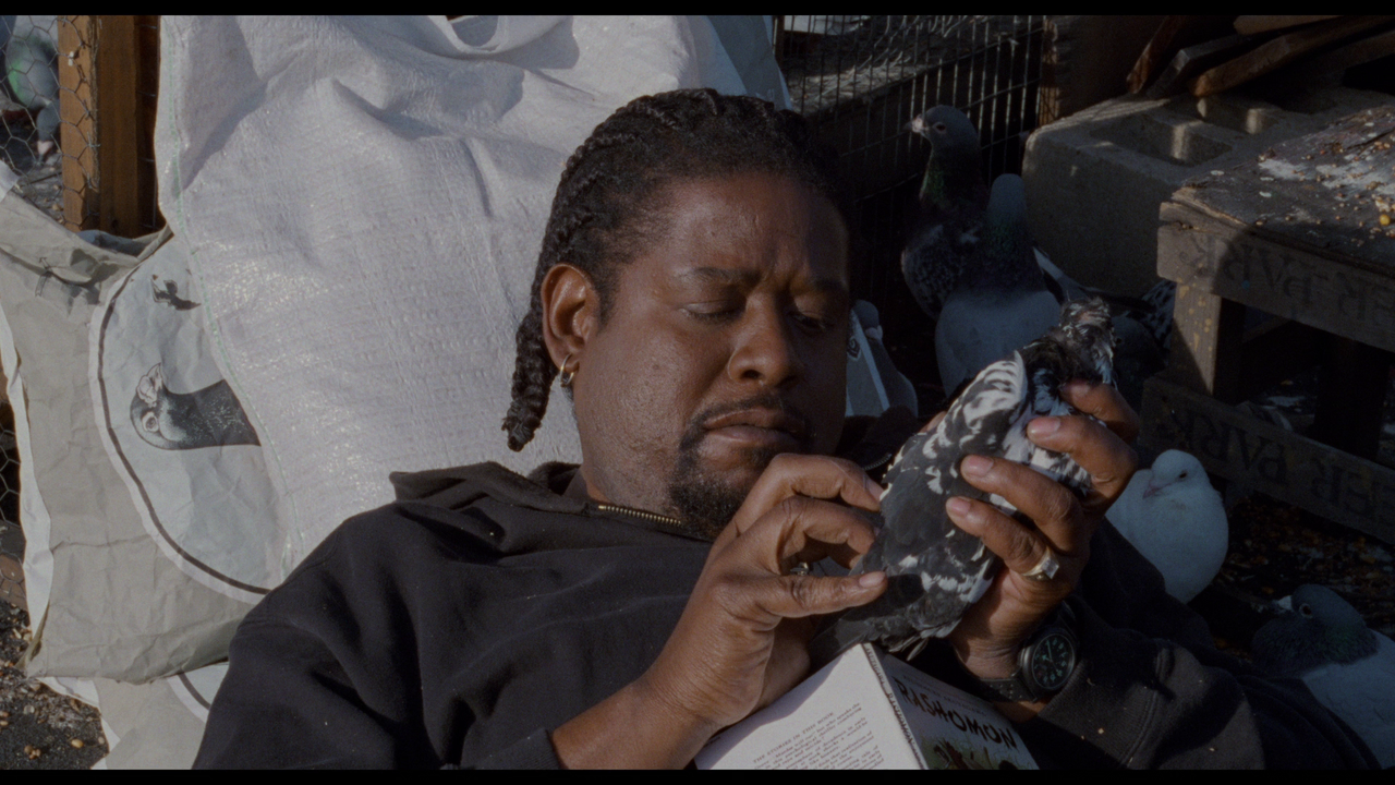 vlcsnap 2025 11 28 16h51m02s417