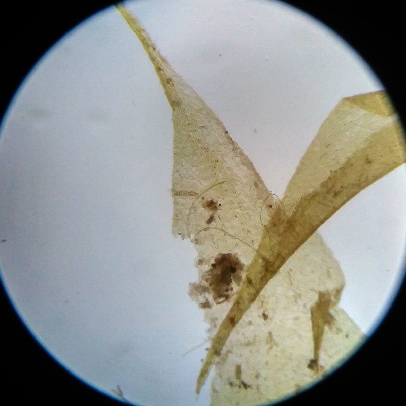 IMG 20250617 105245 HDR