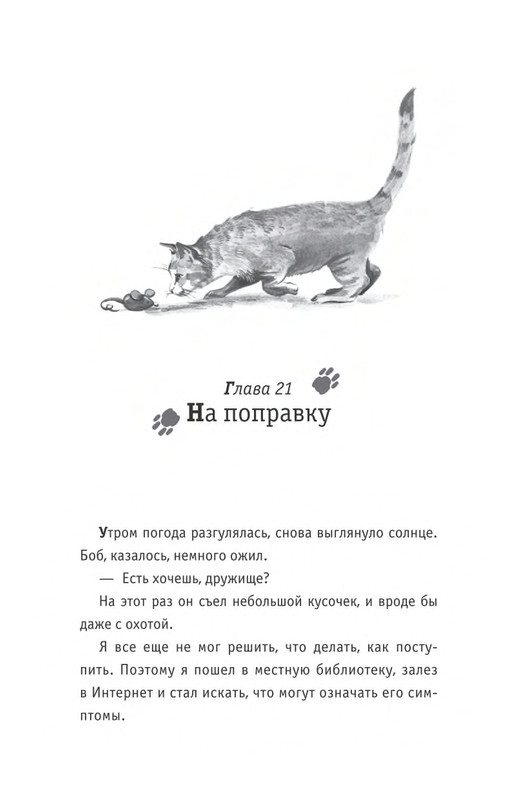 Bouen_Dzhejms_Ulichnyj_kot_po_imeni_Bob__Teper_i_dla_detej__1_Bob___neobychnyj_kot_564490_page-0135