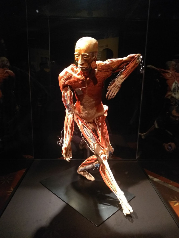 72406233_681863445653971_626262104986353664_n