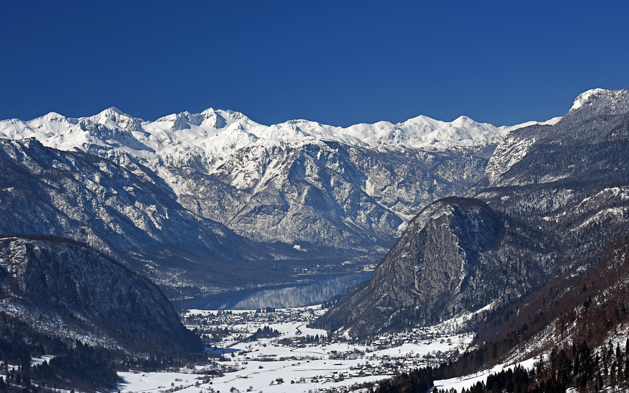 26172591875-f4f2309d6b-k.jpg