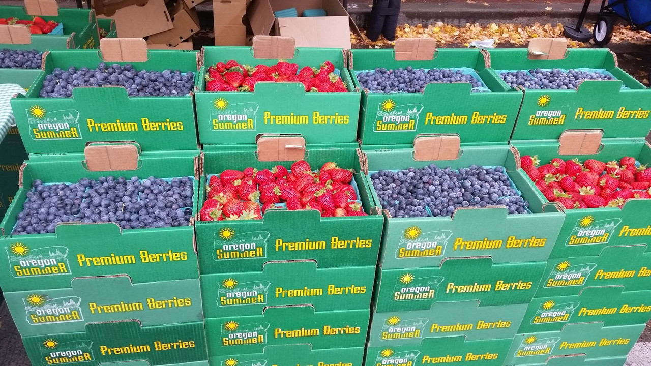 42382587_2541415062540617_6834195413579333632_o