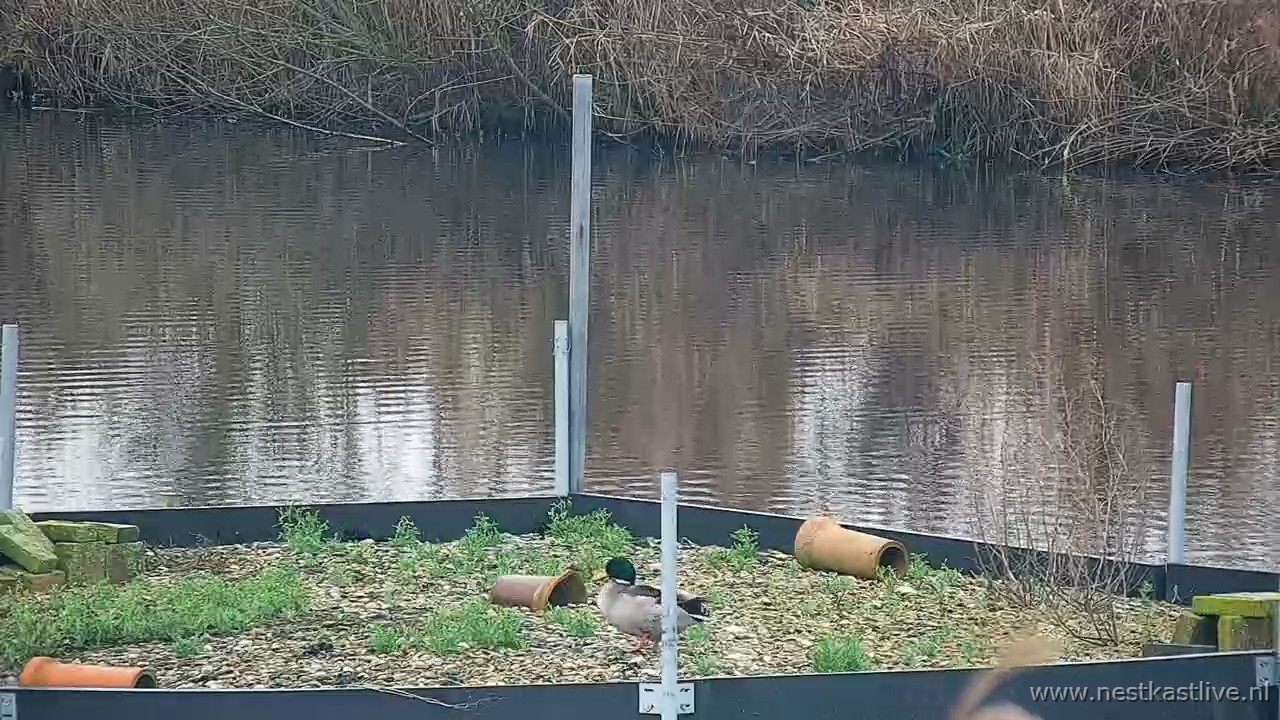 snapshot 2025 12 21T102822 705