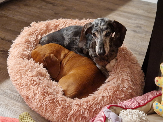 [Image: 20230702-221526.jpg]