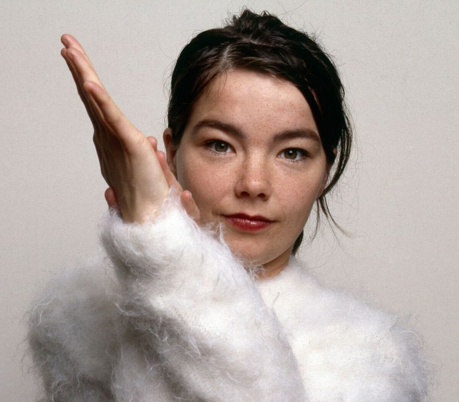 Björk 726787-bjork