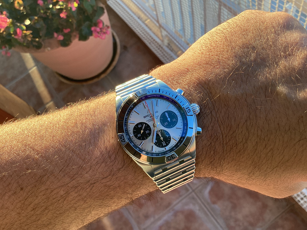 049A08D7-DBC0-4ED8-8A72-8F4CC9D05911