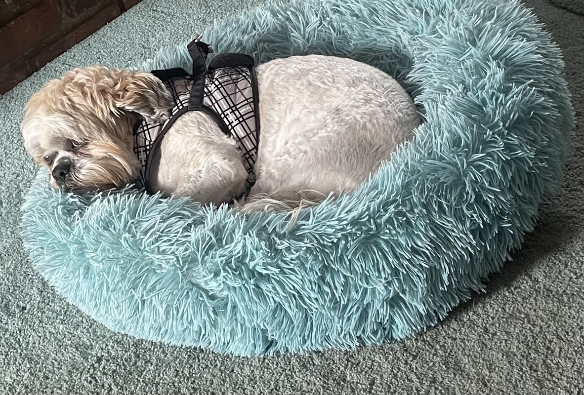 908D9E84-74B7-432B-864E-6BD787057CBC_1_201_a