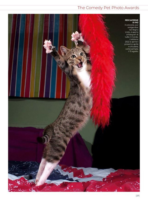 Ga Ma Ott-Nov 2021 (4)