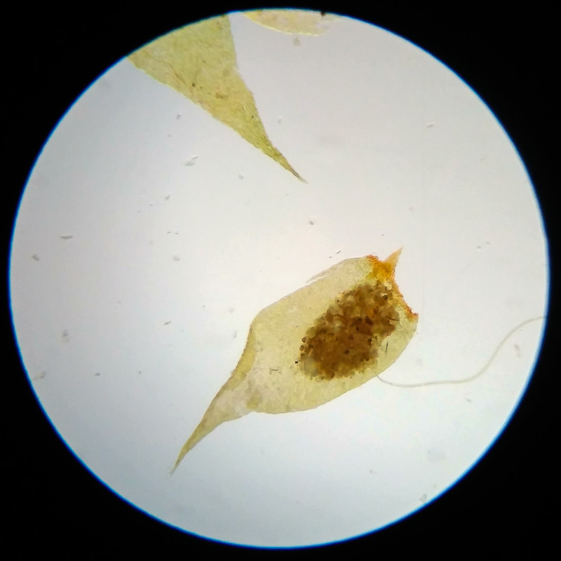 IMG 20250617 111332 HDR