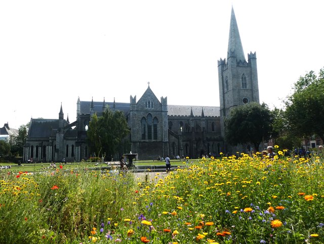 10 días por Irlanda en verano de 2024 - Blogs de Irlanda - DÍA 2 – Dublín (29)