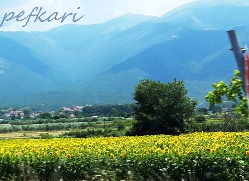 Slika