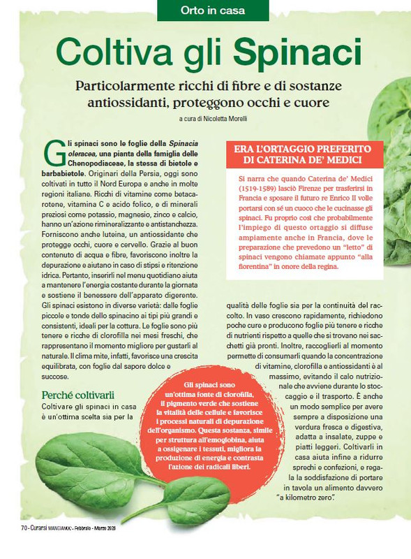 Cur Mang Feb Mar 2026 (7)