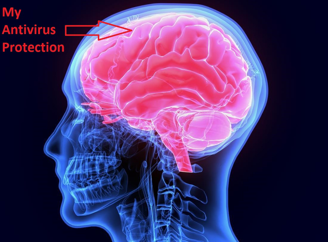 diagram-of-the-brain.jpg