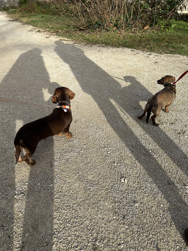 [Image: IMG-4599.jpg]