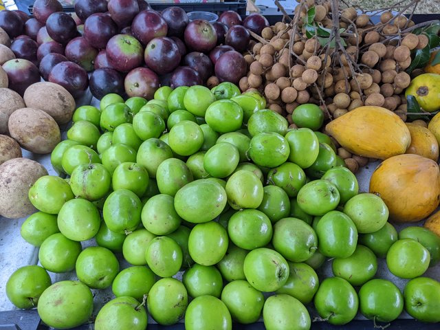 [Image: PXL-20220116-144546439.jpg]