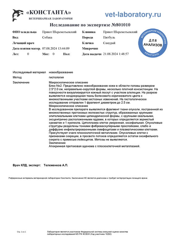 По экспертизе (801010)