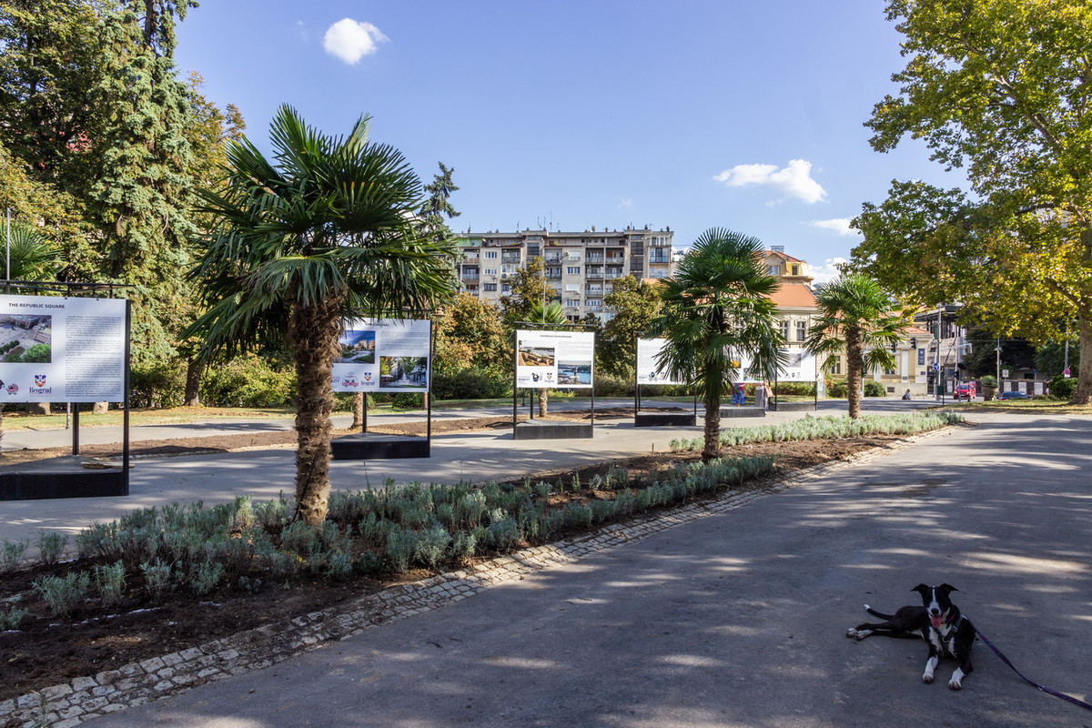 kalemegdan-palme-01.jpg