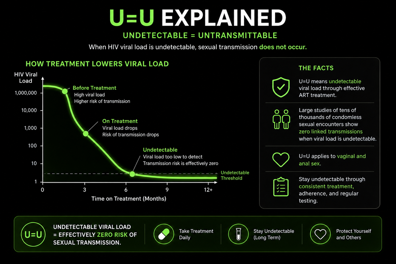 Educational infographic explaining U=U, undetectable equals untransmittable, showing how HIV treatment lowers viral load over time and that sustained undetectable viral load means effectively zero sexual transmission risk.