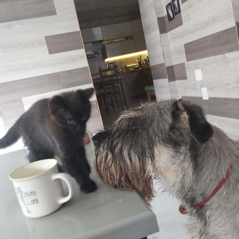 photo_2025-06-08_16-02-11 (3)