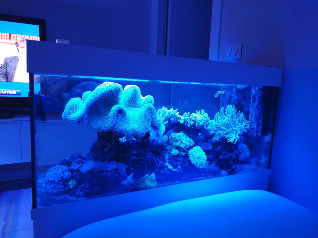 BA5F5622-95A5-4023-8256-BAE100198EDA