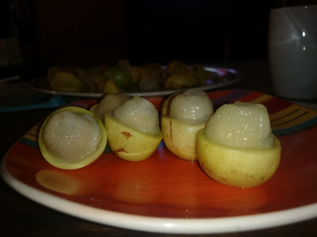 Marula fruit roadside vendor  (3)