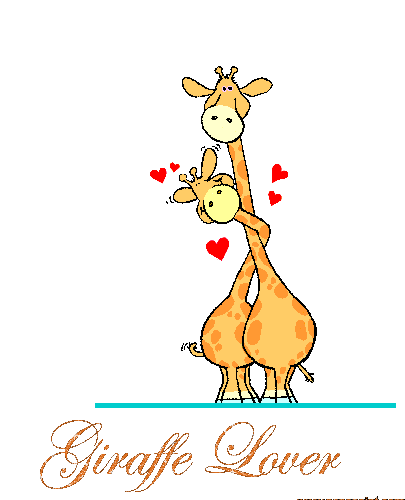 Giraffes_Necking_Lover