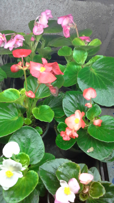 20190413_202419