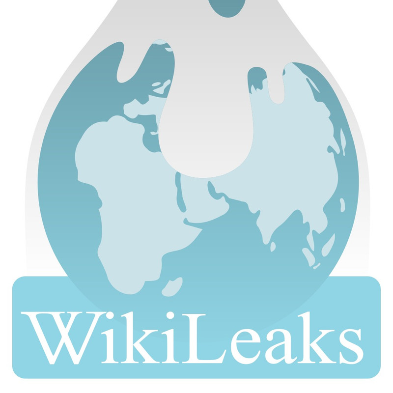 2 - Die Erde, in der wir leben und der Raum, der die Welt ist - Seite 60 Wikileaks-logo-svg