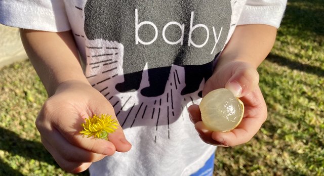 [Image: B454-DDF7-5-CED-457-A-9-D9-D-2-C47-EA7-C068-F.jpg]