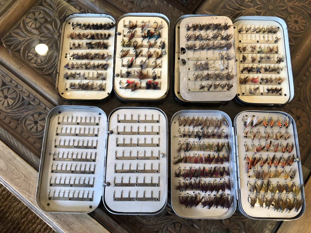 08EB9D62-D2B0-4D41-98B9-96424645AD61