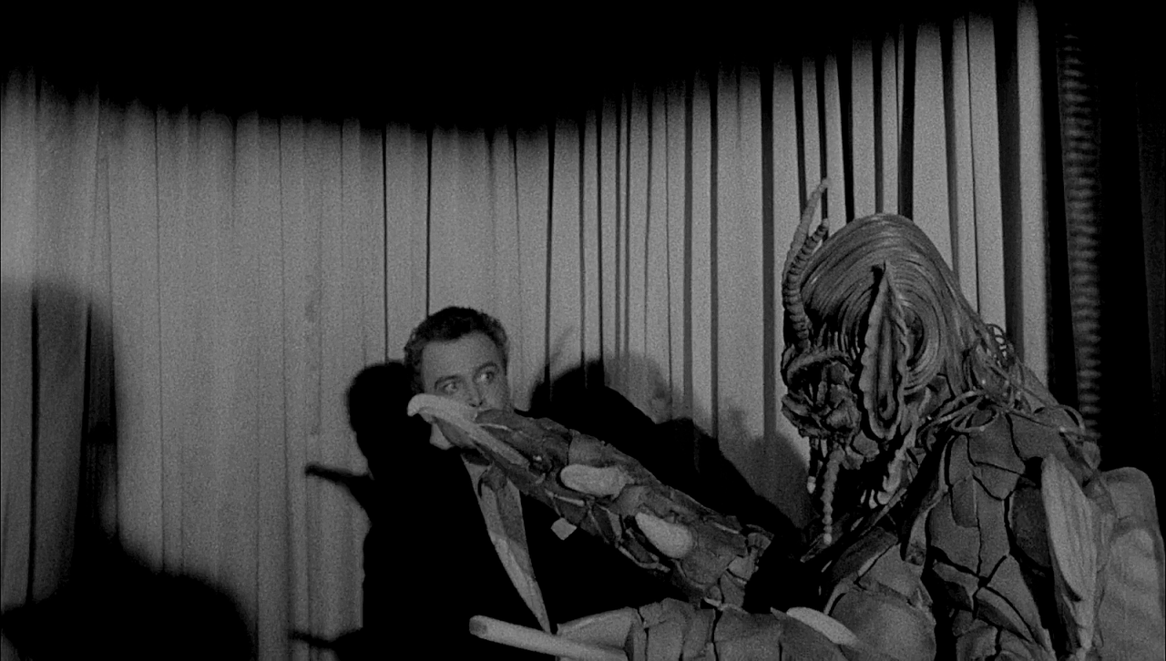 SHE CREATURE REFERENCE (10)