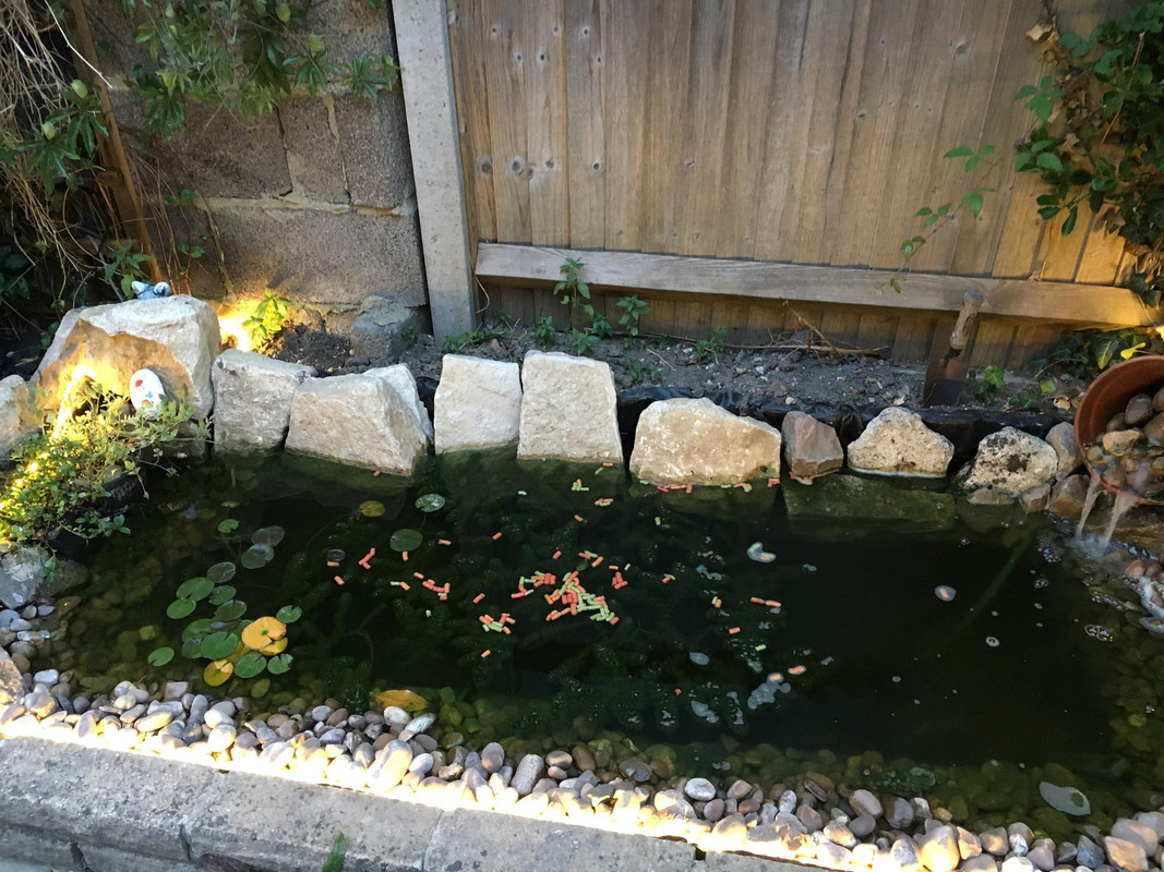 37838860_10156464404287457_5081326939759706112_o