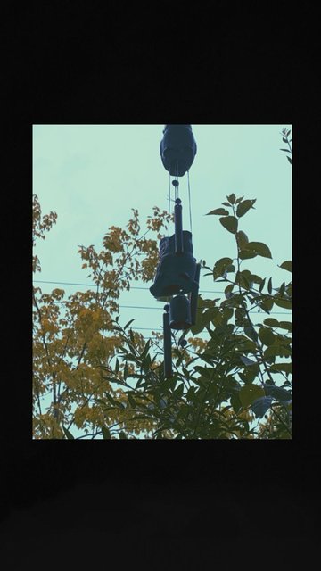 IMG-1720