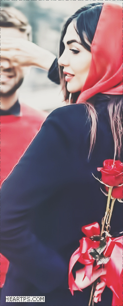 ���� ���� ������ �� ���� ������