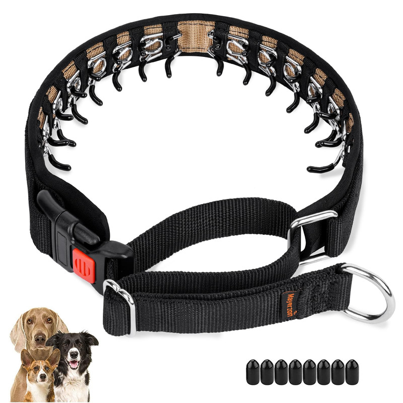 Mayerzon Martingale No Pull Dog Collar Medium