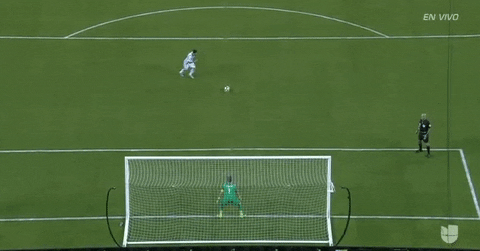Penalty-miss.gif