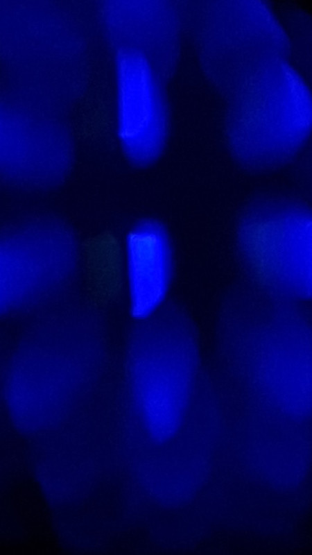 3AFFEDAF-B6A7-4670-8955-DFC11D685B26