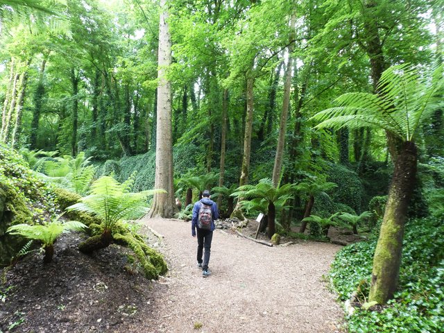 10 días por Irlanda en verano de 2024 - Blogs de Irlanda - DÍA 5 – Castillo Blarney – Parque Nacional Killarney (12)