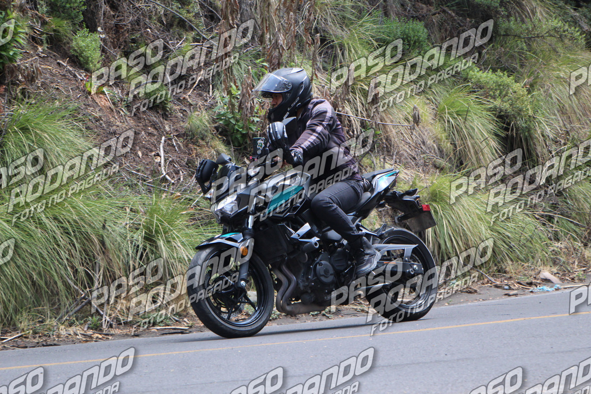 IMG 0747 wm 2062852 9 watermarked — Postimages