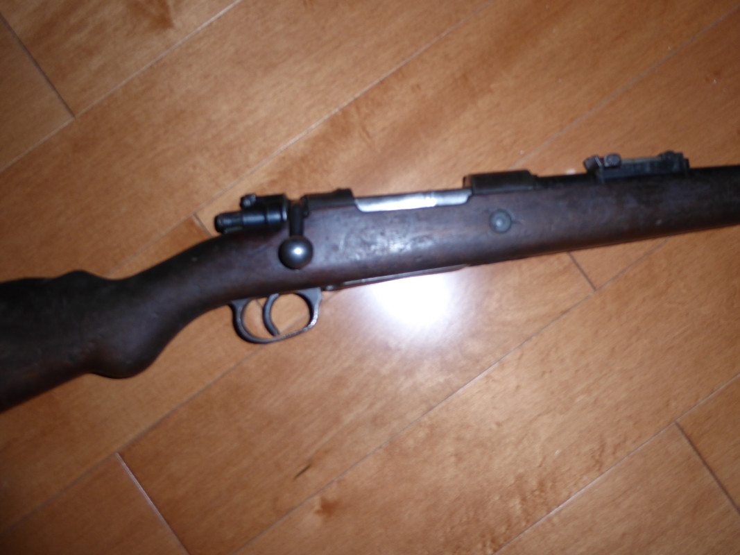 308MauserAction