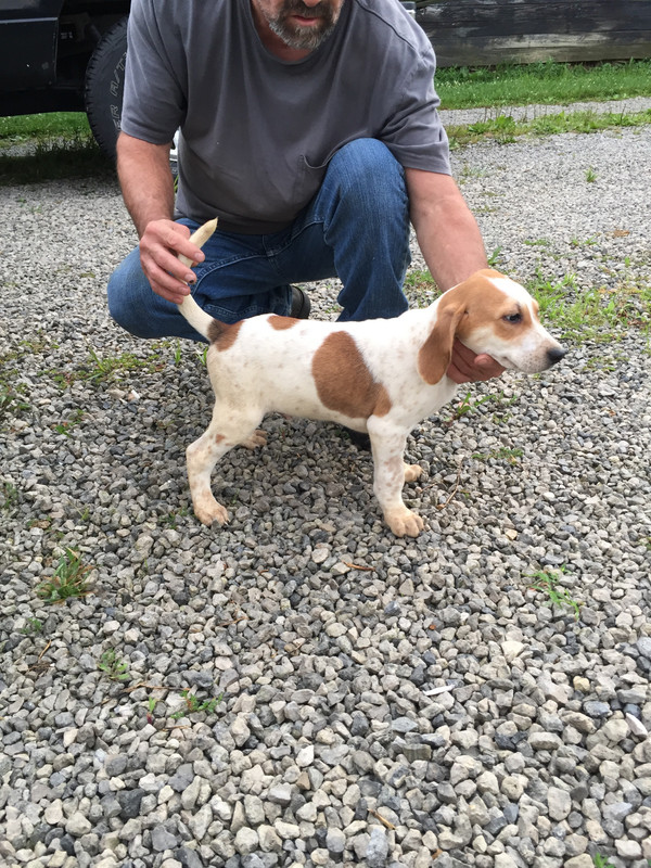 0C2E4B94-90AA-40DE-81A1-76B7F773FD79