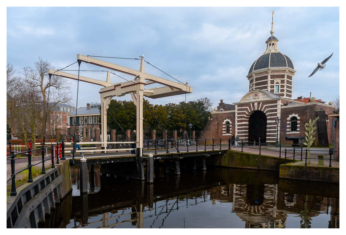 Fotografie
