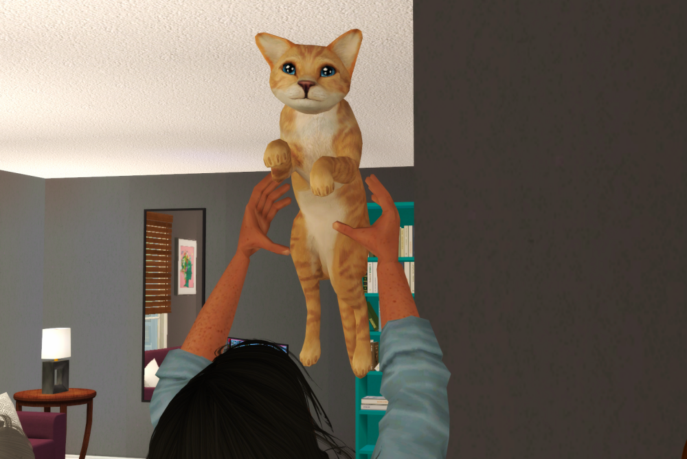 Sims2-EP9-RPC-2021-08-14-18-15-48-47