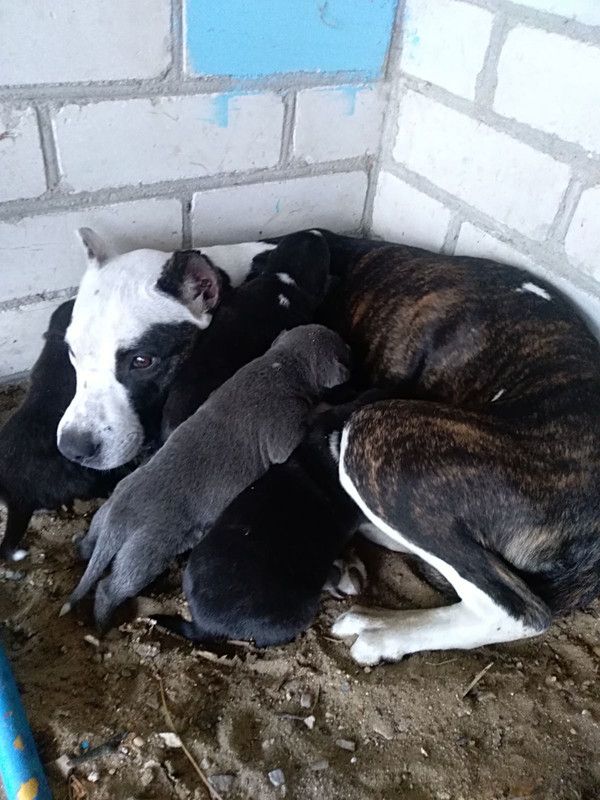 7E43C409-C5C6-4751-97FD-C4D3C12E8F86