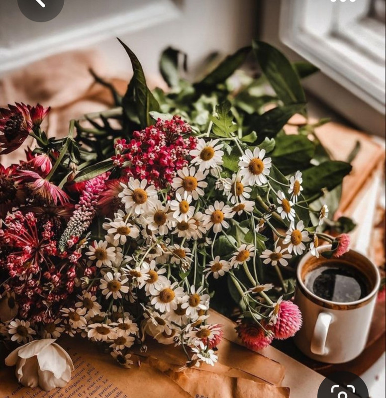 Screenshot_20230421_000200_Pinterest