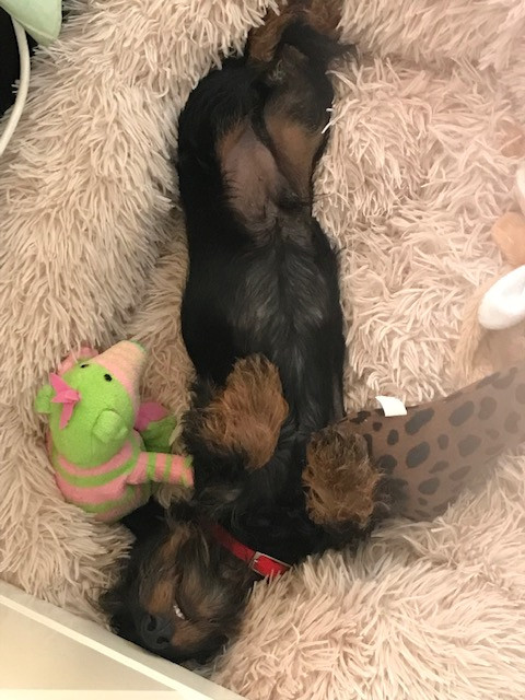 [Image: IMG-3413.jpg]