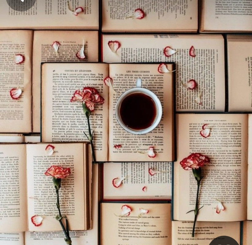 Screenshot_20240203_192959_Pinterest