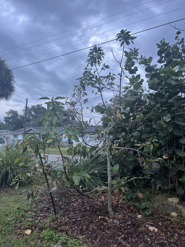 C02CF83B-646B-4A4A-9CD0-FE1AA1D57C2D