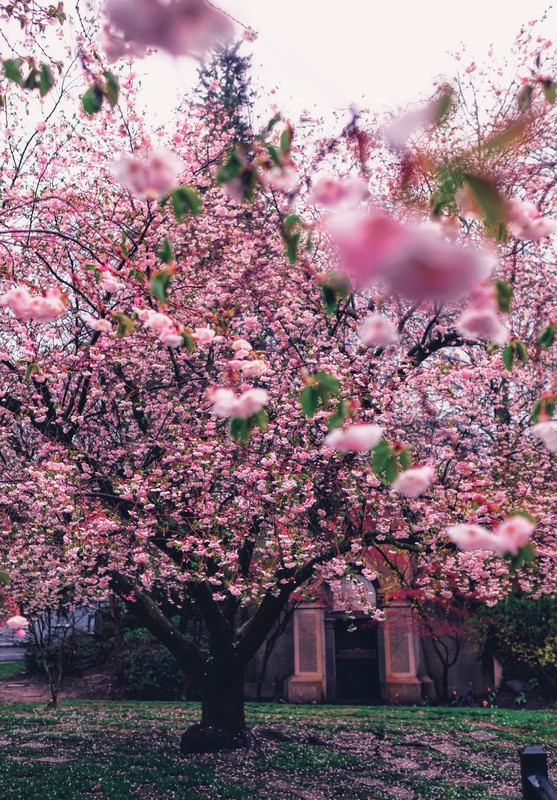 Screenshot_20240425_205723_Threads