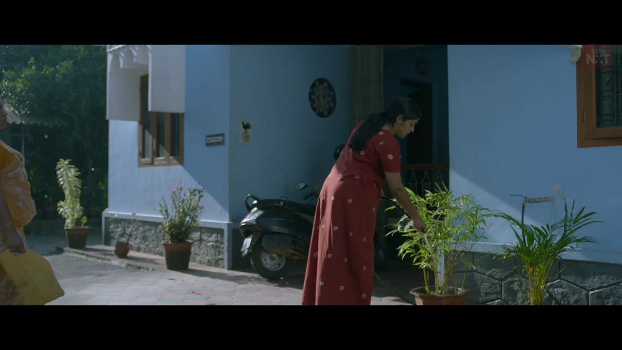 vlcsnap 2026 02 11 15h39m47s232